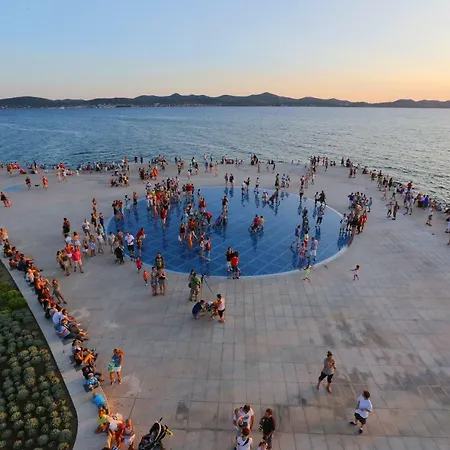 Luci * Zadar